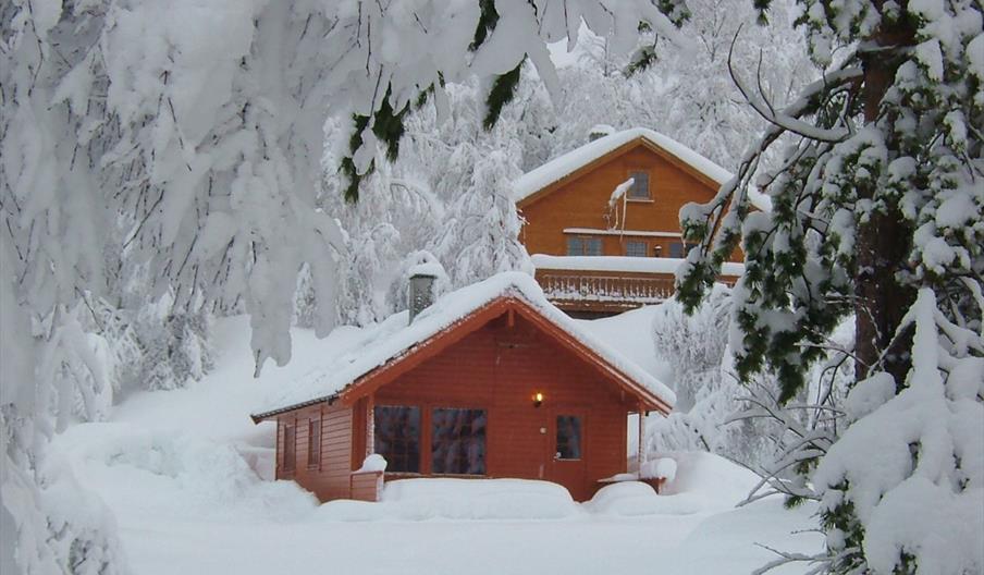 Haugen Hytteutleie og Camping