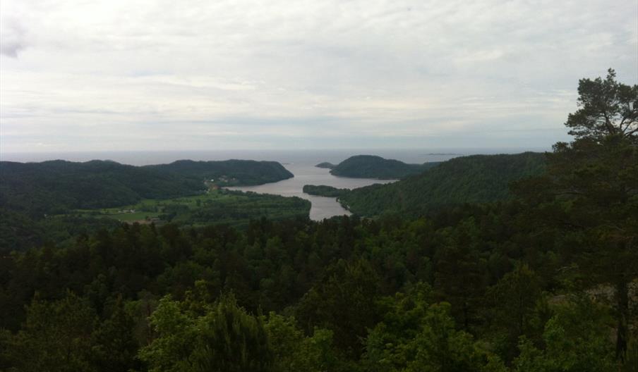 Bilde av skog, med elv som går utover mot havet.