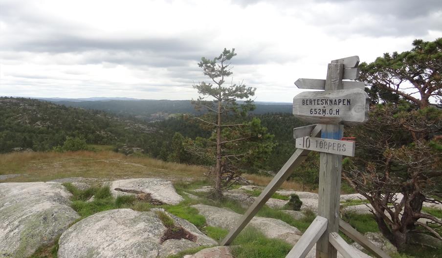 Bertesknapen - tur- retur 7,4 km