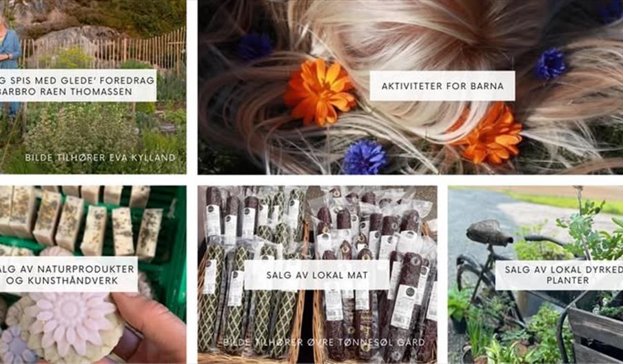 Hagemarkedet i Reddal