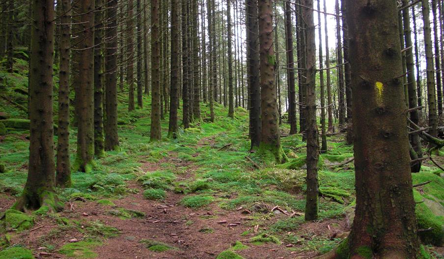Kongeveien Hiking Tour