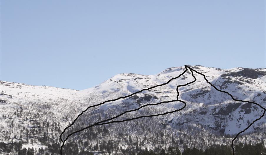 Topptur på ski til Søre Hartevassnuten