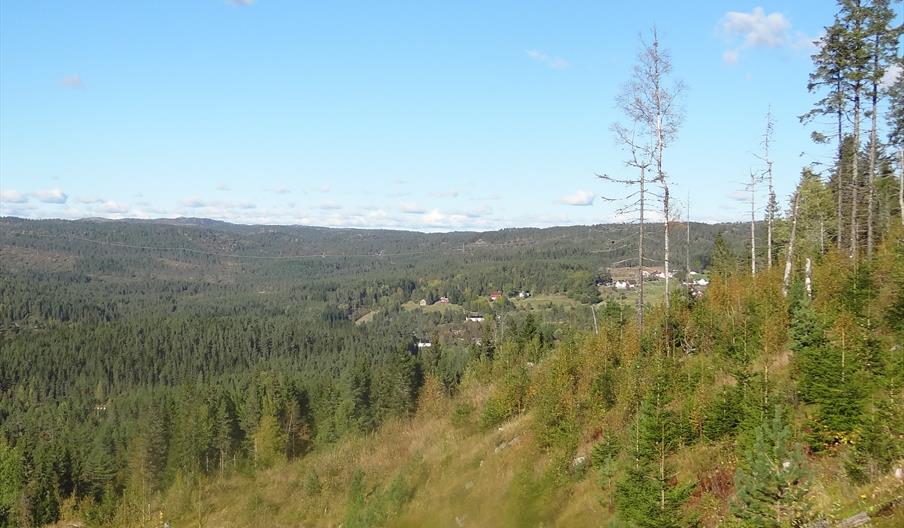 Allmannavegen - tur - retur 6,4 km
