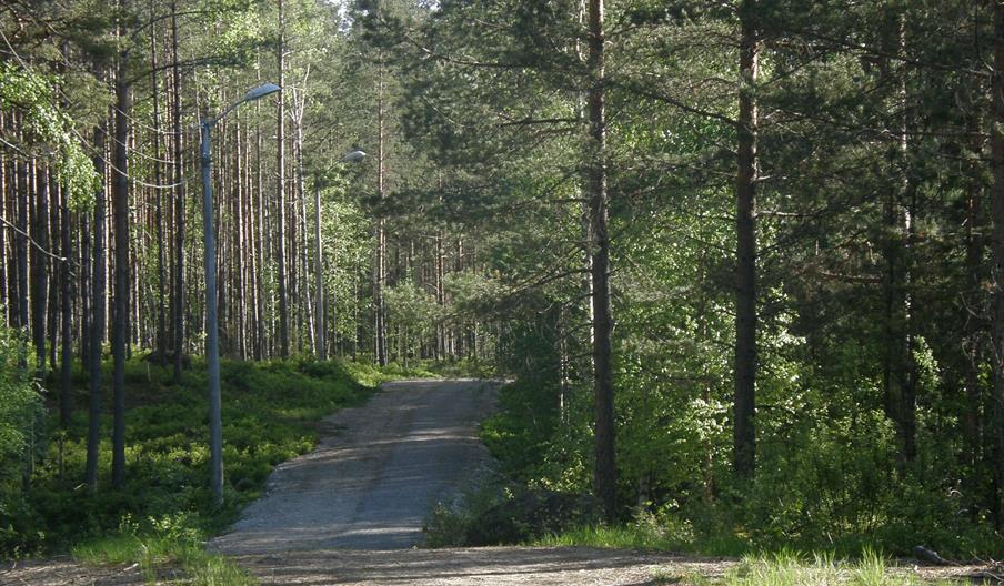 Evje lysløype - rundløype 8,6 km