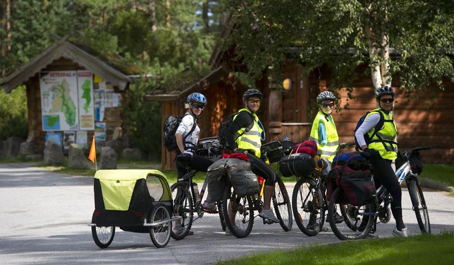 Rasteplass langs RV 9