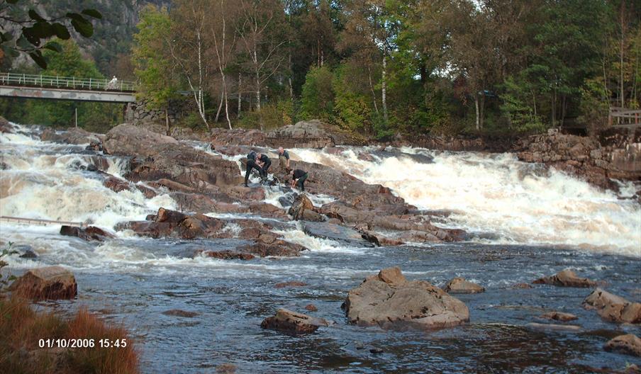 Laksefiske i Audnaelva