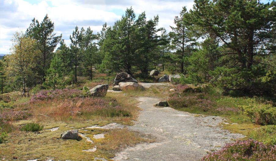 Blomliknuten