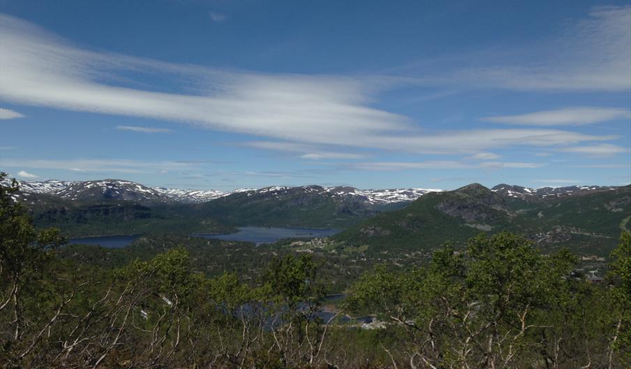 Søre Hartevassnuten - rundtur 6 km