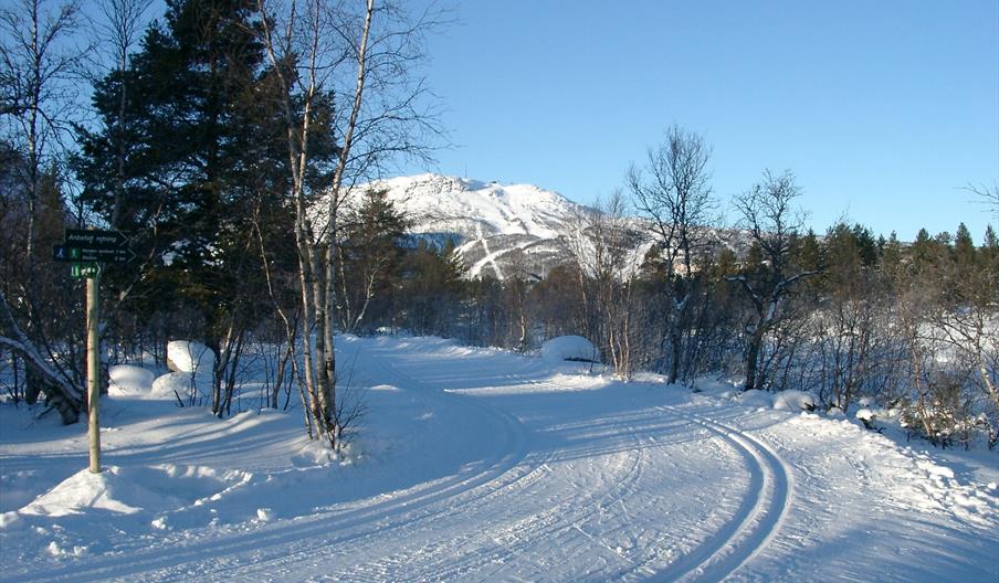 Skispor på Hovden, bilde.