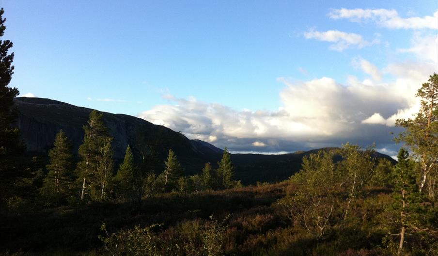 Uvedalsfjell - rundtur 5-7 km