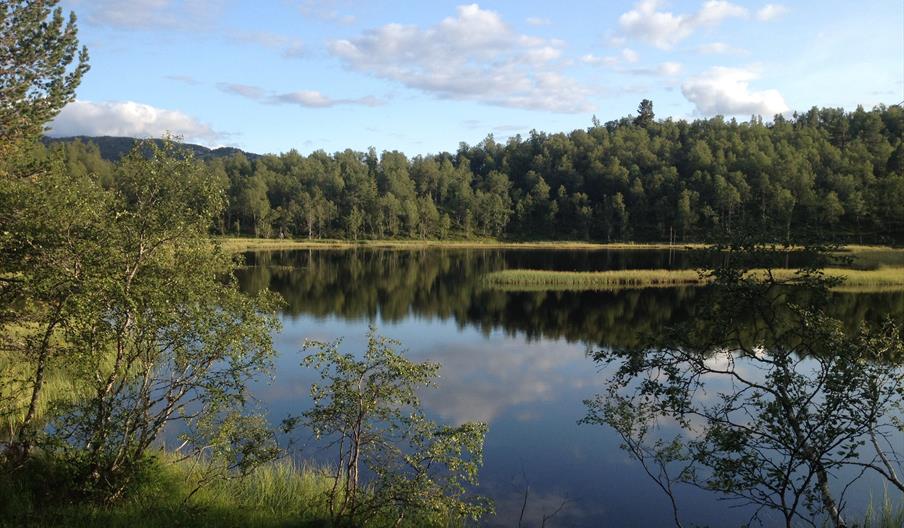 Bykle lysløype - rundtur 5,5 km