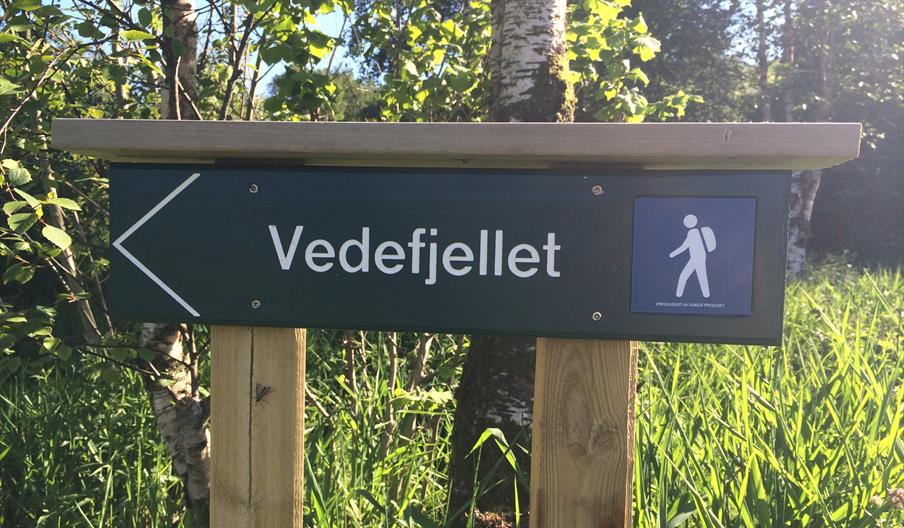 Vede mountain lyngdal