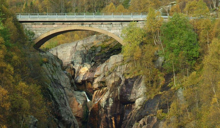 Dorgefoss