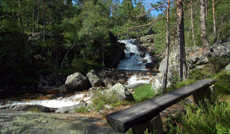 Rysstad Turpark - tur - retur 4 km
