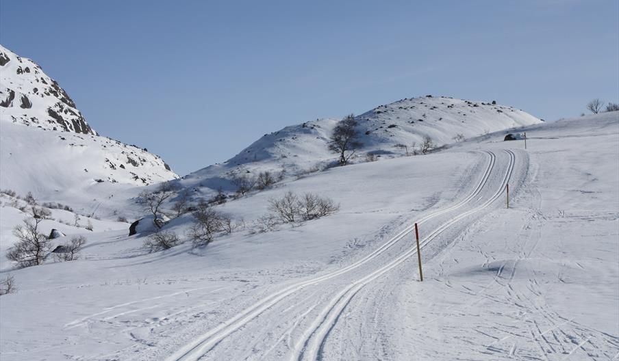 Langrenn i Sirdal