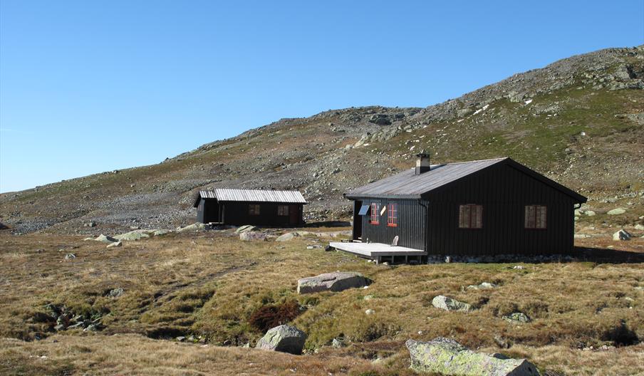 Høyfjellsopplevelser fra hytte til hytte på Hovden