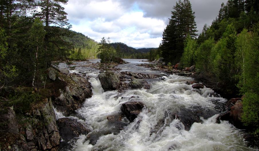 Frå Årdalen