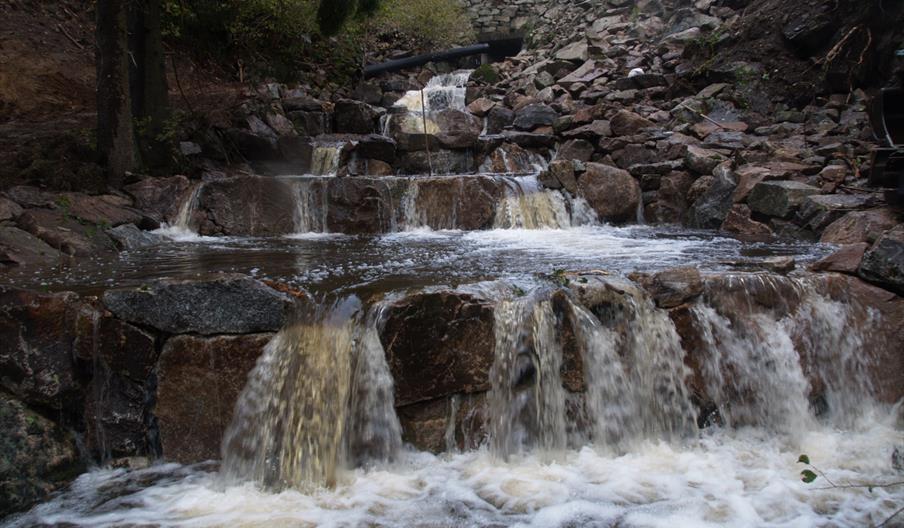 Laksetrappa i Holumbekken