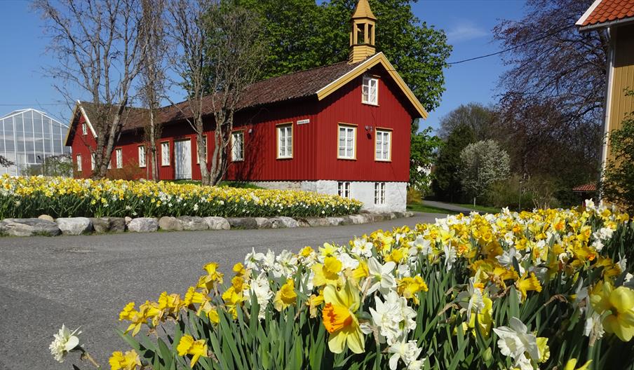 Dømmesmoen Grimstad