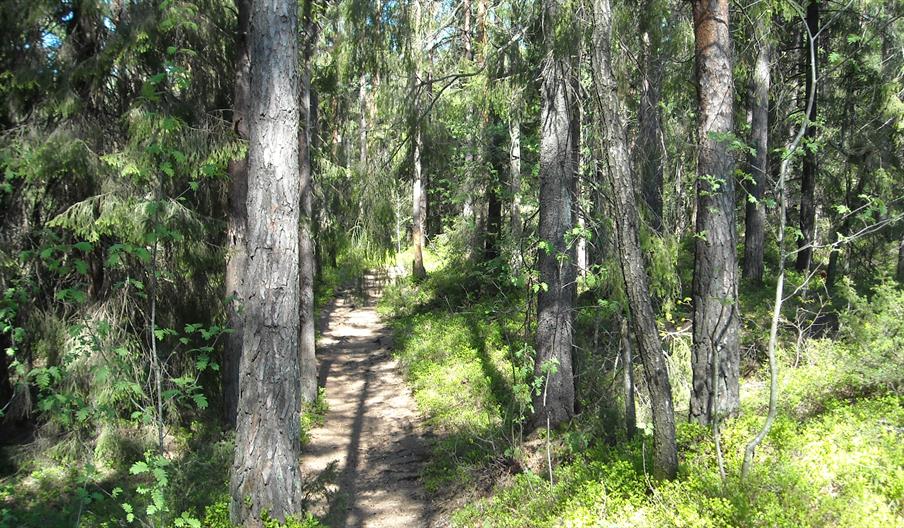 På tur i Fjæreheia