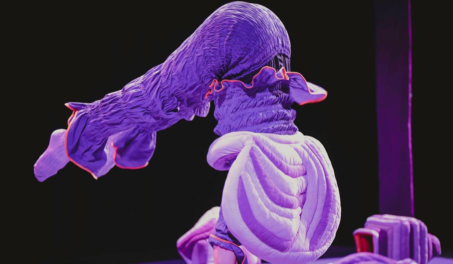 Himstregimser og andre duppeditter