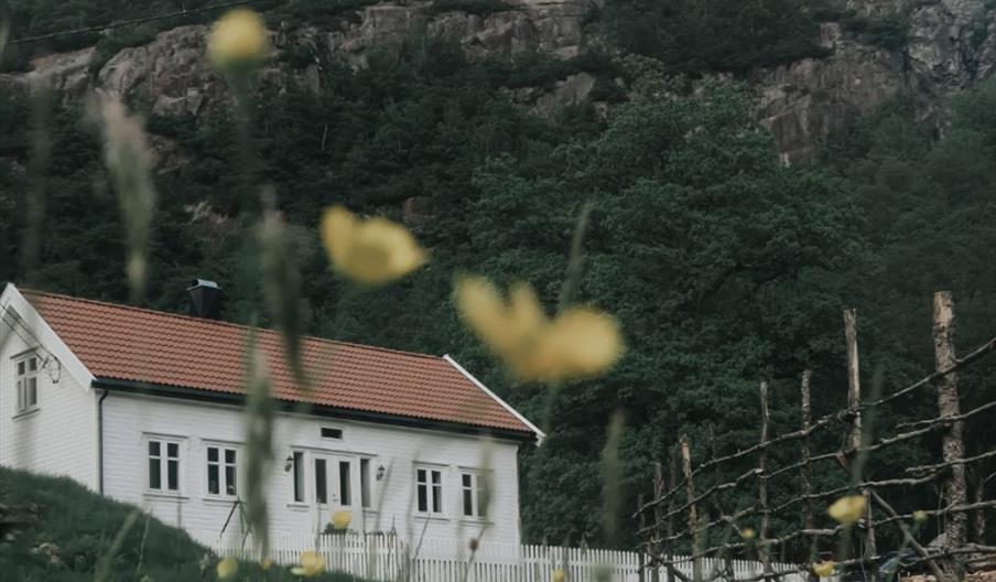 hvitt hus i landlige omgivelser