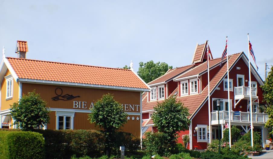 Topcamp Bie - Grimstad