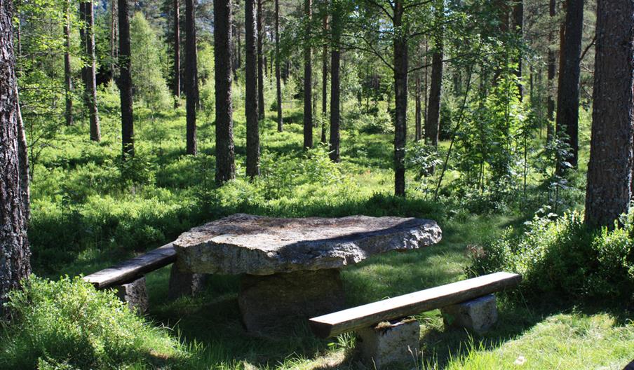Gravhaugene på Skeie