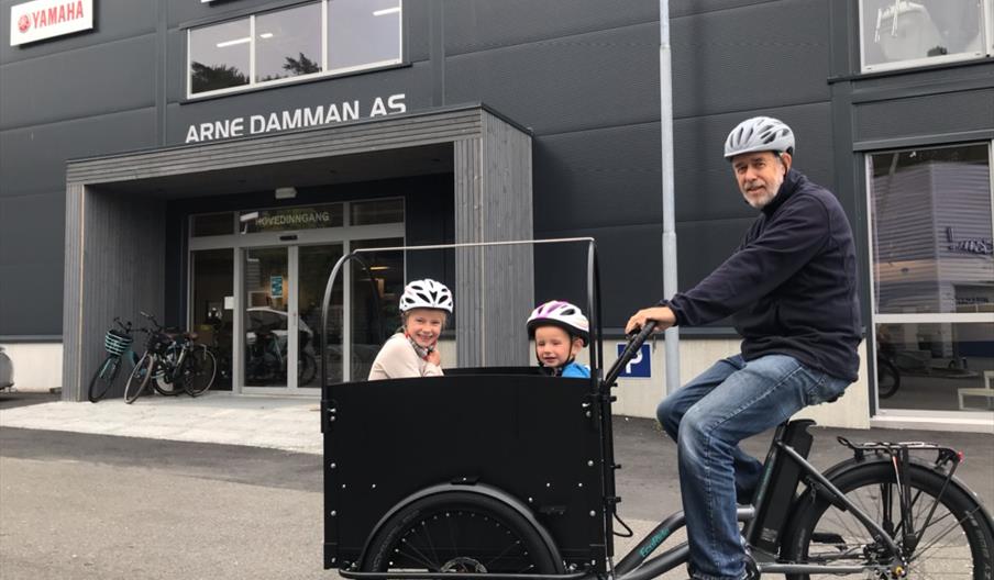 Arne Damman AS