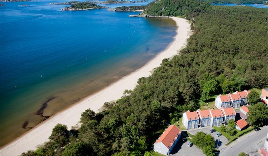 Ferietun, utsikt, strand langs vannet, og skog langs stranden