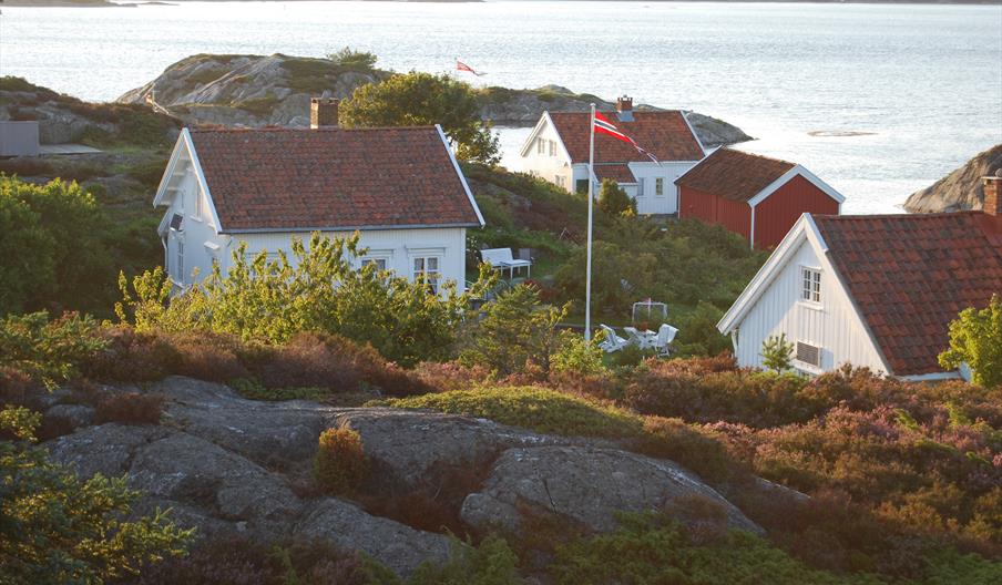 Hesnesøy Grimstad