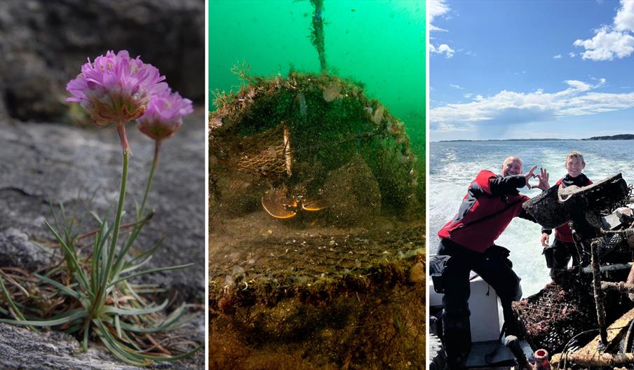 KULTURSØNDAG, Vår felles natur - vakker og sårbar