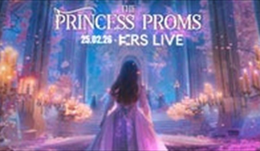 The Princess Concert