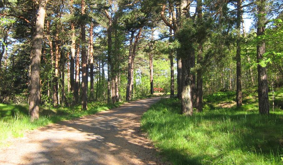 Turforslag og sykkelutleie i Risør