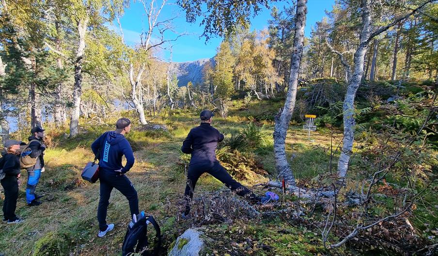 mennesker som spiller frisbeegolf