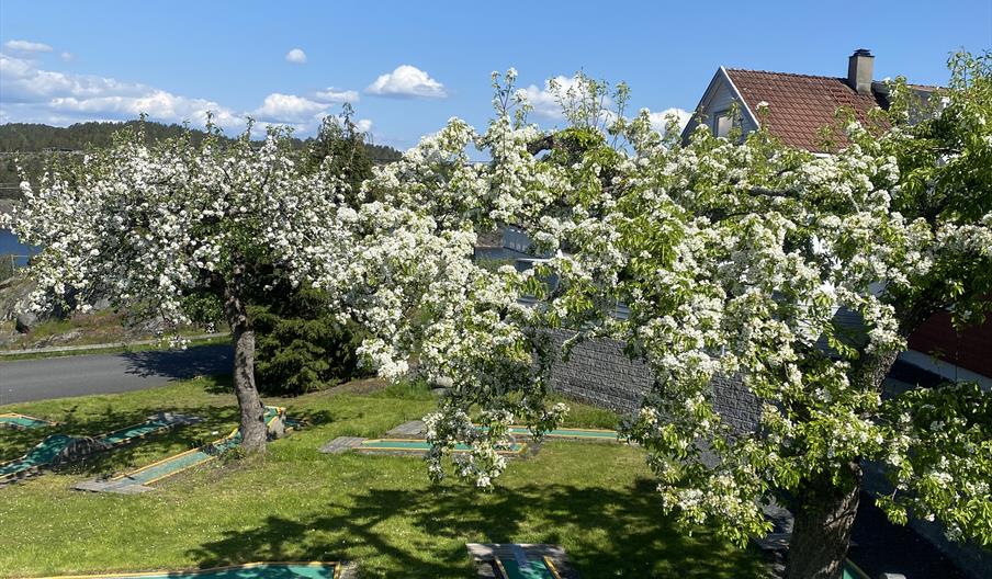 Minigolfbaner