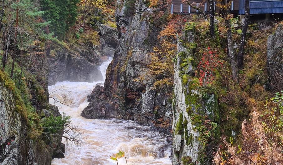 Norsk Villakssenter - Kvåsfossen ligger på kanten av juvet til lakseelva Lygna.