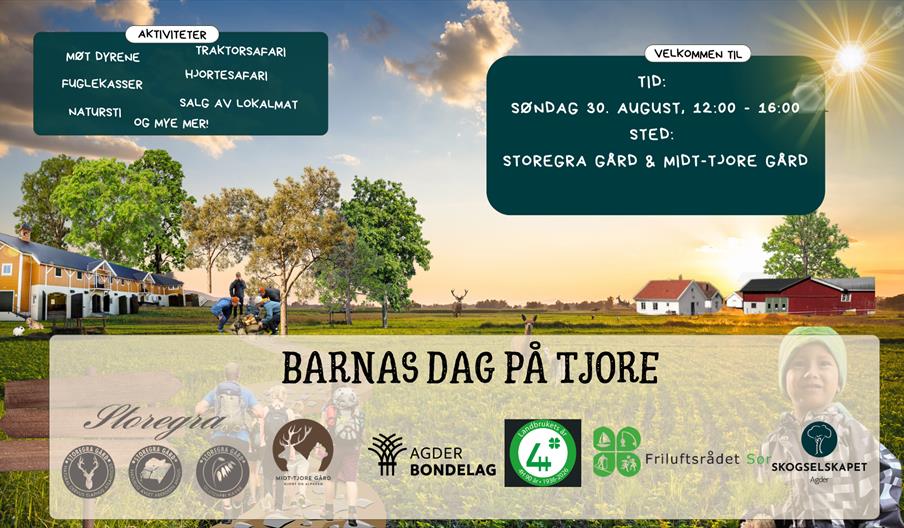 Plakat Barnas Dag