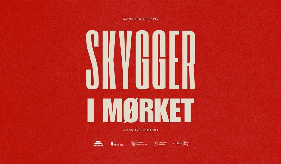 Skygger i mørket
