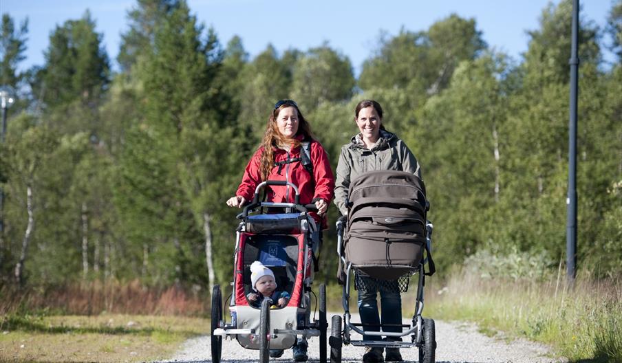Otrosåsen - også med barnevogn