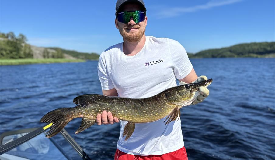 Predatorfiske fra båt på sørlandet