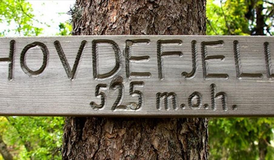 Vegårshei