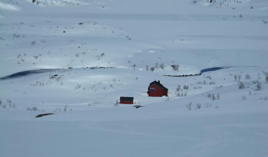 Taumevatn