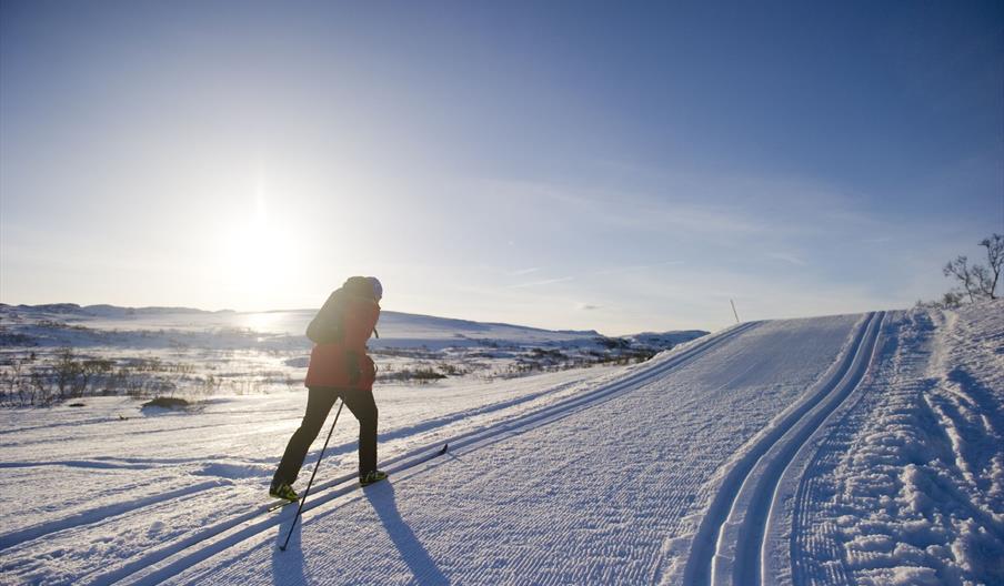 Langrenn på fjellet ved soloppgang, bilde
