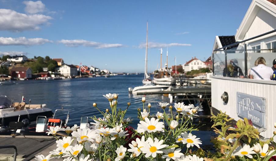 Pers brygge i bakgrunnen med blomster foran