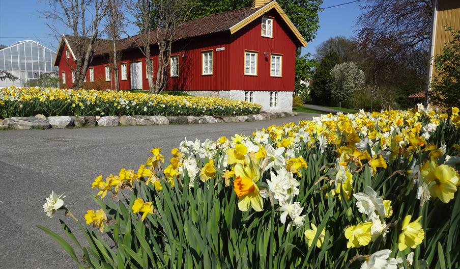 Dømmesmoen Ruslespor i Grimstad