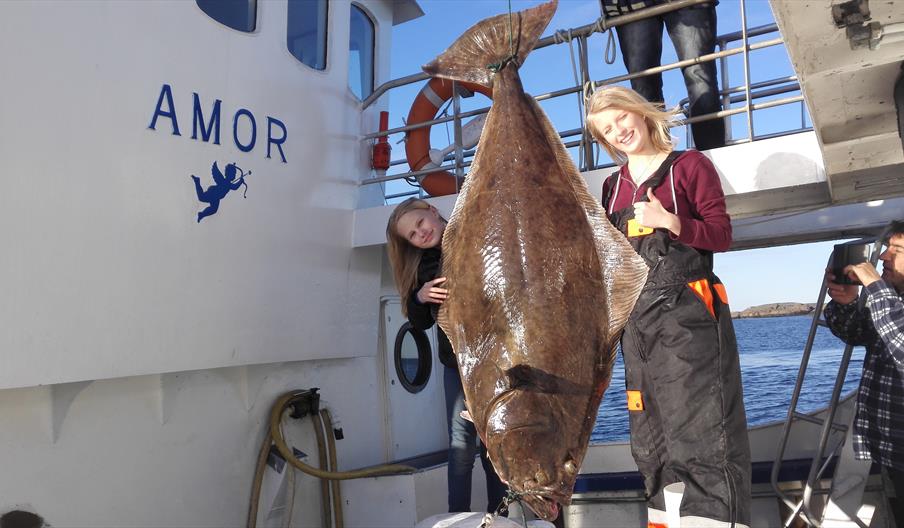 M/S Amor - fisketurer