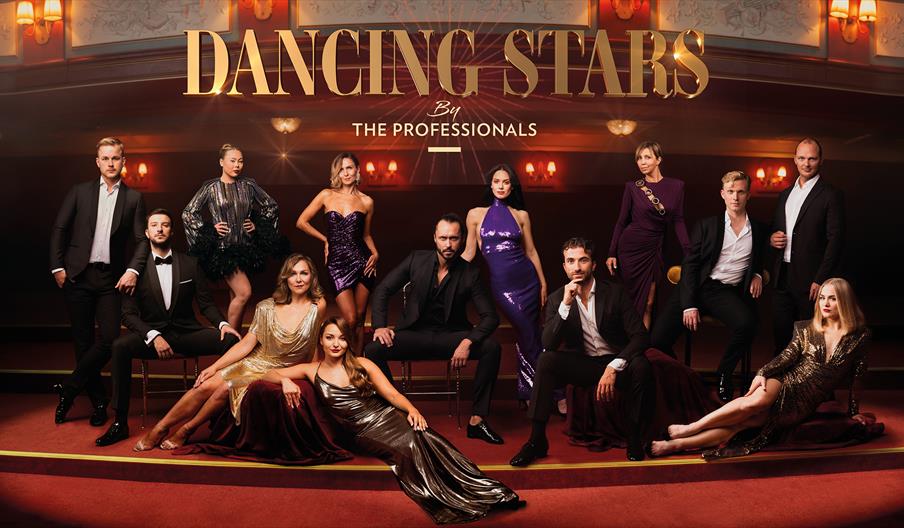 Dancing Stars by The Professionals