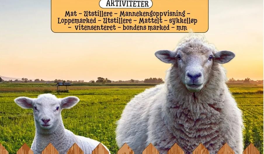 Sauesjå & Matfest