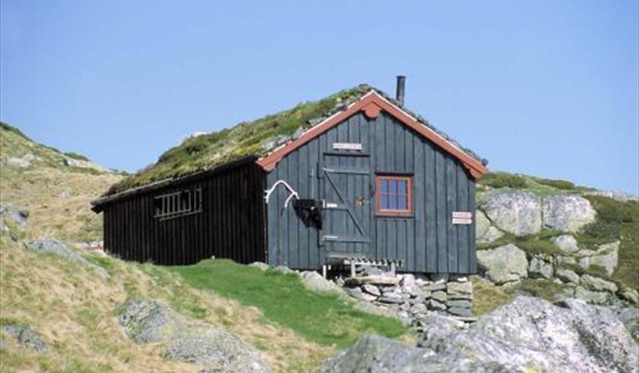 Håheller